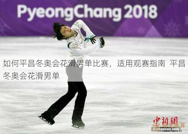 如何平昌冬奥会花滑男单比赛，适用观赛指南  平昌冬奥会花滑男单