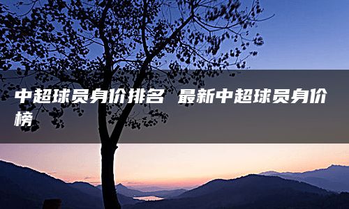 山东鲁能队的意大利前锋佩莱以9000万欧元的身价位列中超球员身价排名第五