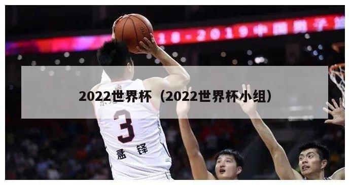 2022世界杯（2022世界杯小组）