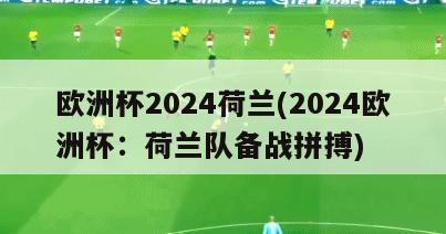 欧洲杯2024荷兰(2024欧洲杯：荷兰队备战拼搏)