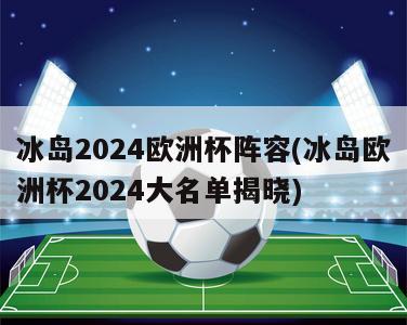 冰岛2024欧洲杯阵容(冰岛欧洲杯2024大名单揭晓)