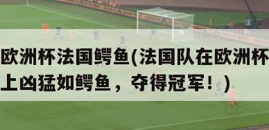 欧洲杯法国鳄鱼(法国队在欧洲杯上凶猛如鳄鱼，夺得冠军！)