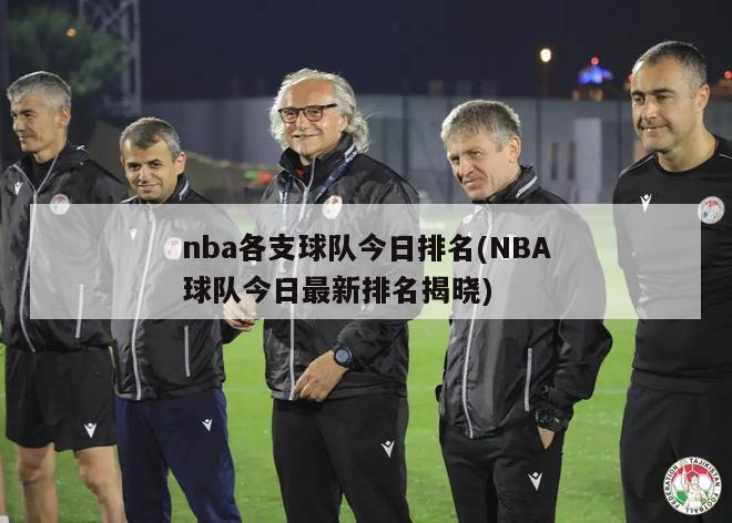 nba各支球队今日排名(NBA球队今日最新排名揭晓)