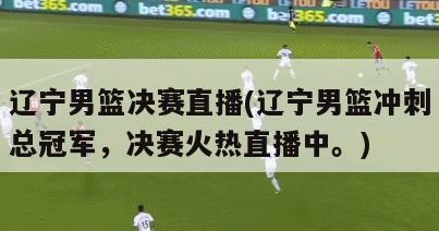 辽宁男篮决赛直播(辽宁男篮冲刺总冠军，决赛火热直播中。)