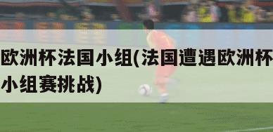 欧洲杯法国小组(法国遭遇欧洲杯小组赛挑战)