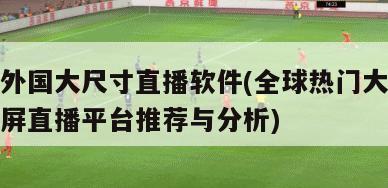 外国大尺寸直播软件(全球热门大屏直播平台推荐与分析)